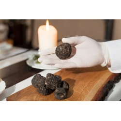 Precious whole organic black truffle in brine from Italy - direct producer