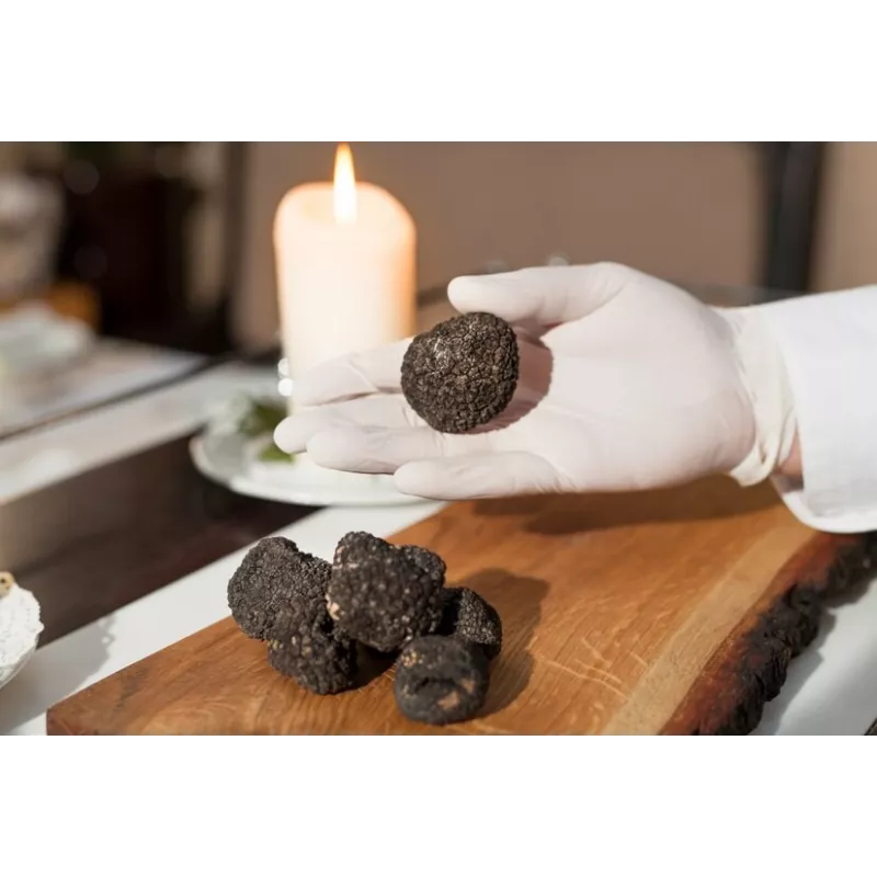 Précieuse Truffe noire bio entière en saumure d'Italie - direct pro...