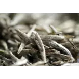 Organic White Tea White Monkey from China Premium
