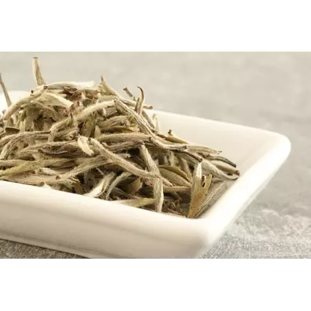 Organic White Tea White Monkey from China Premium