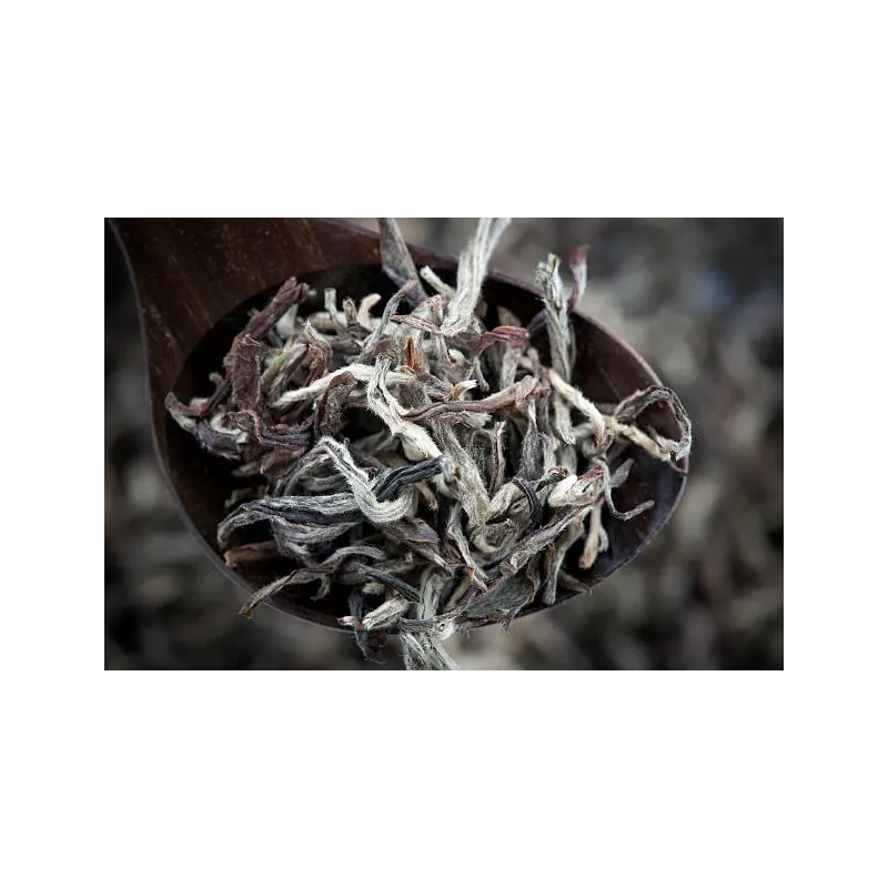 Organic White Tea White Monkey from China Premium