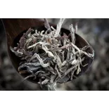 Organic White Tea White Monkey from China Premium