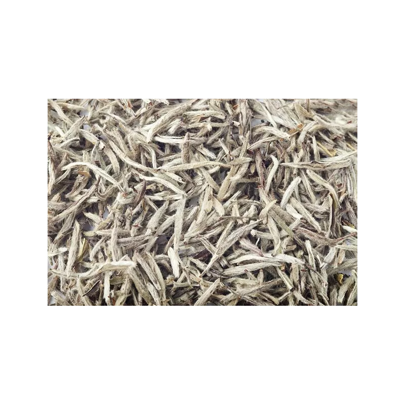 Organic White Tea White Monkey from China Premium