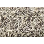 Organic White Tea White Monkey from China Premium