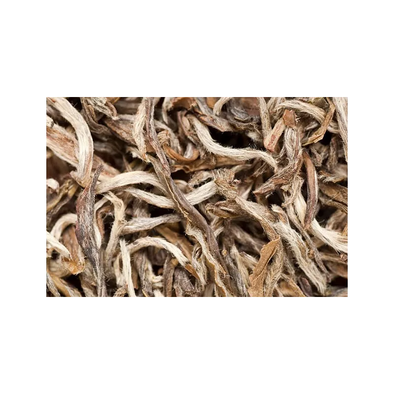 Organic White Tea White Monkey from China Premium