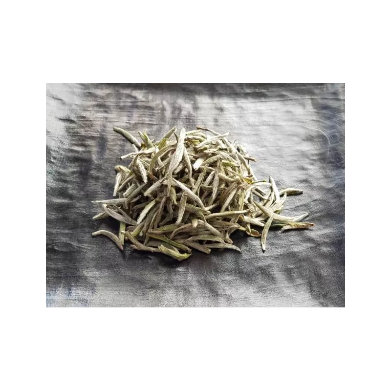 Organic White Tea White Monkey from China Premium