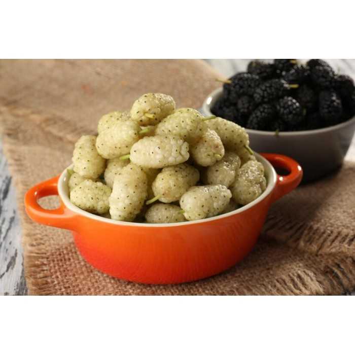 Organic & fair trade dried black & white mulberries from Uzbekistan