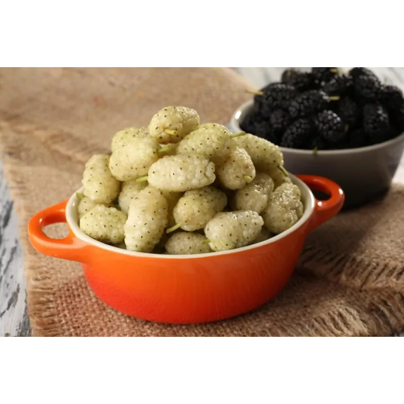 Organic & fair trade dried black & white mulberries from Uzbekistan