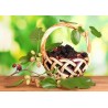 Organic & fair trade dried black & white mulberries from Uzbekistan