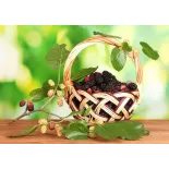 Organic & fair trade dried black & white mulberries from Uzbekistan
