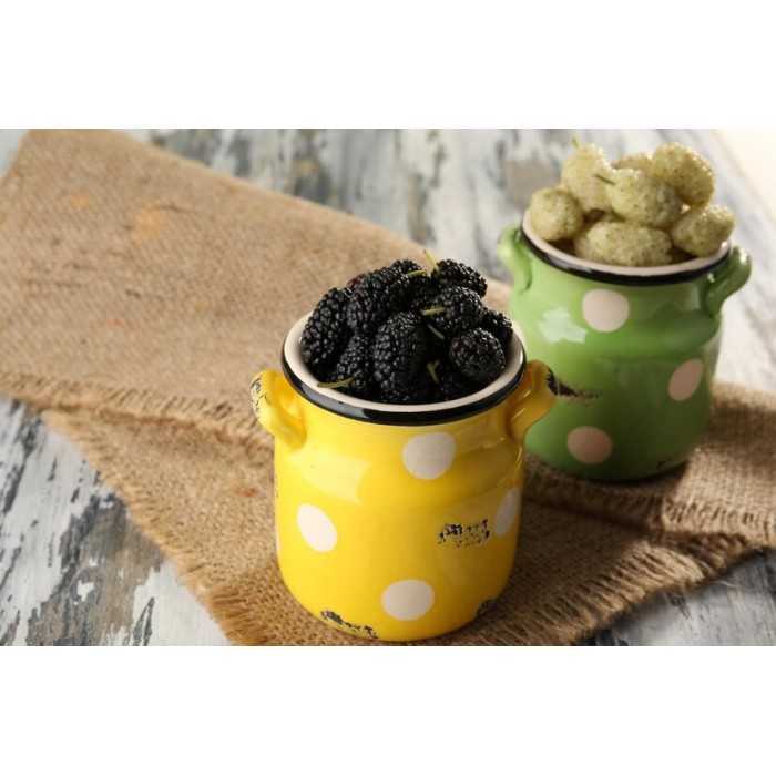 Organic & fair trade dried black & white mulberries from Uzbekistan