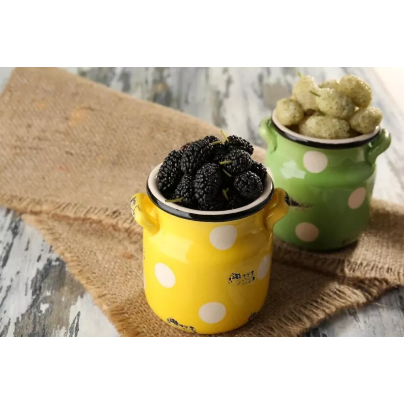 Organic & fair trade dried black & white mulberries from Uzbekistan