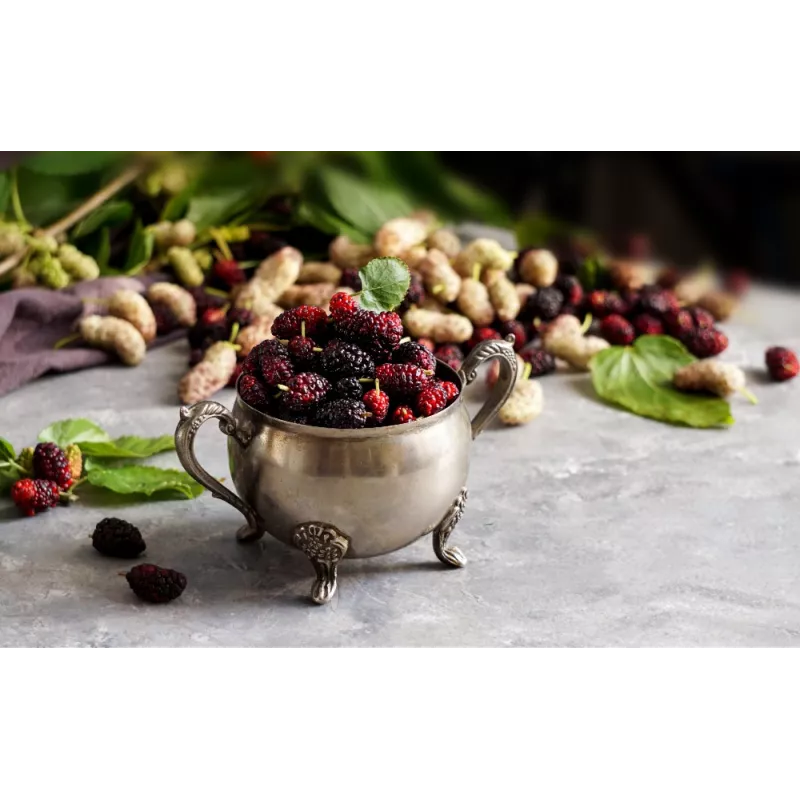 Organic & fair trade dried black & white mulberries from Uzbekistan