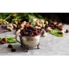Organic & fair trade dried black & white mulberries from Uzbekistan