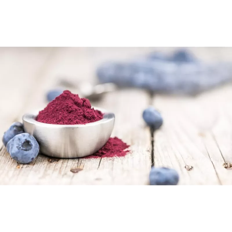 Organic wild blueberries powder from Germany