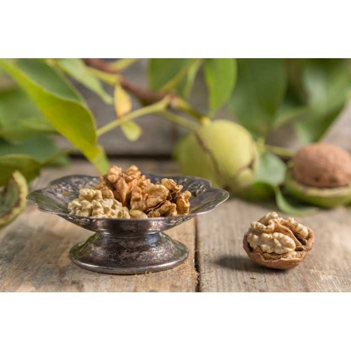 Extra Organic shelled walnut kernels PDO from Perigord - direct pro...
