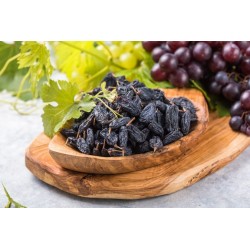 Raisins secs muscat bio AOP de Malaga Sans Sulfite - Direct producteur