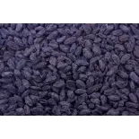 Organic & fairtrade black muscat raisin from Uzbekistan - Sulphite ...