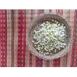 Organic dried jasmine flower buds from Morocco - Direct producer
