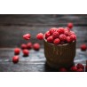 Organic dried raspberries from France - direct producer