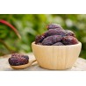 Organic pitted Medjool dates from the Oases of Morocco