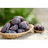 Organic pitted Medjool dates from the Oases of Morocco