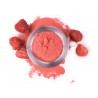 Organic & fairtrade strawberry powder from Uzbekistan