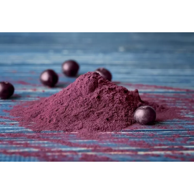 Organic wild blueberries powder from Germany
