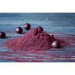 Organic wild blueberries powder from Germany