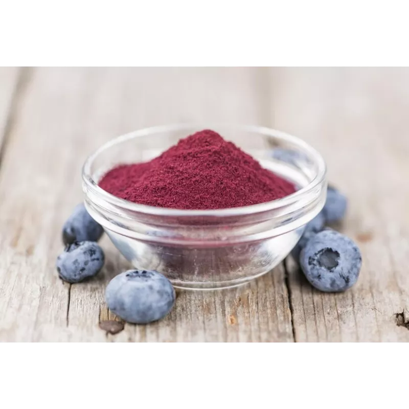 Organic wild blueberries powder from Germany