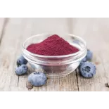 Organic wild blueberries powder from Germany