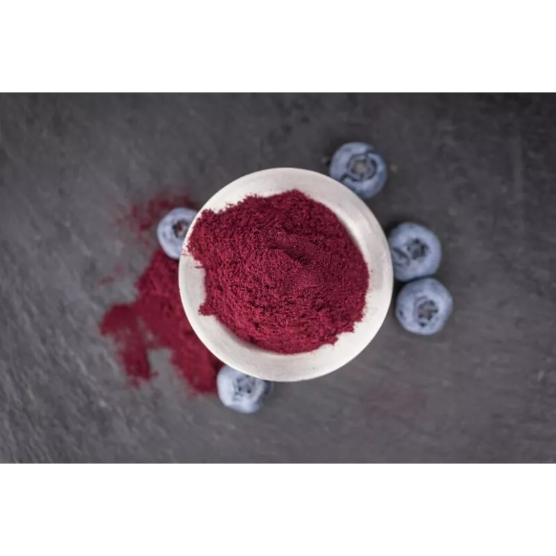Organic wild blueberries powder from Germany