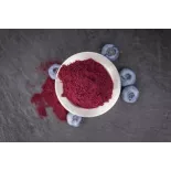 Organic wild blueberries powder from Germany