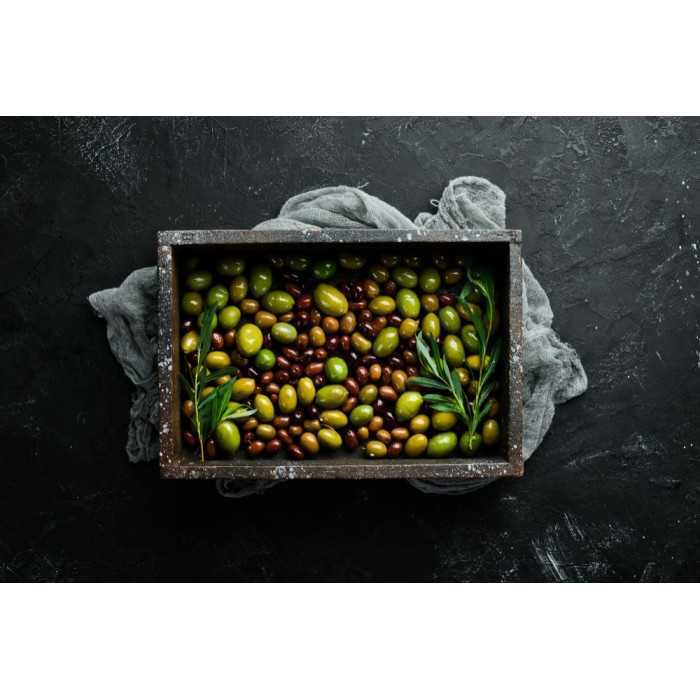 Organic Chocolate Olivette Almonds from Provence - Direct producer