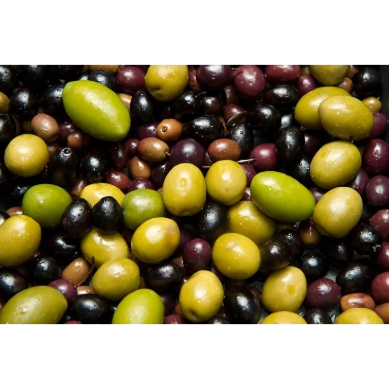 Amandes Olivettes chocolat bio de Provence - Direct producteur
