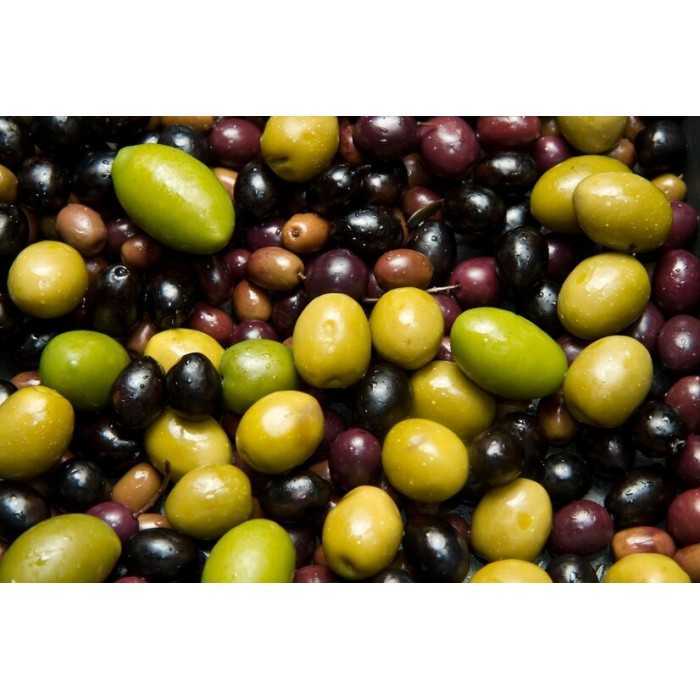 Organic Chocolate Olivette Almonds from Provence - Direct producer