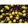 Organic Chocolate Olivette Almonds from Provence - Direct producer