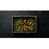 Organic Chocolate Olivette Almonds from Provence - Direct producer