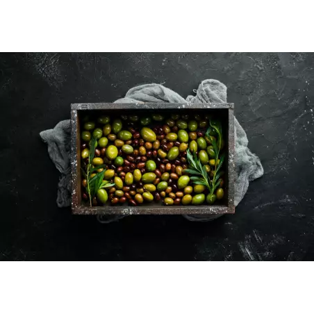 Vegan chocolate olivette Almonds from Provence - Direct producer