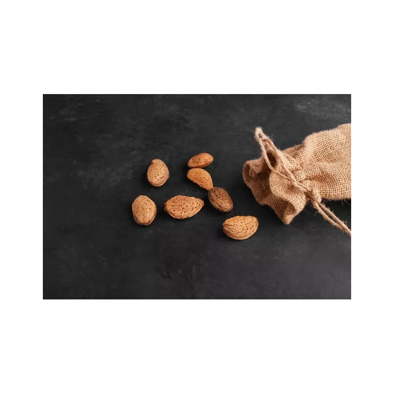 Amandes bio en coque de Provence - direct producteur