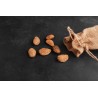 Organic almonds in shell from Provence - direct producer