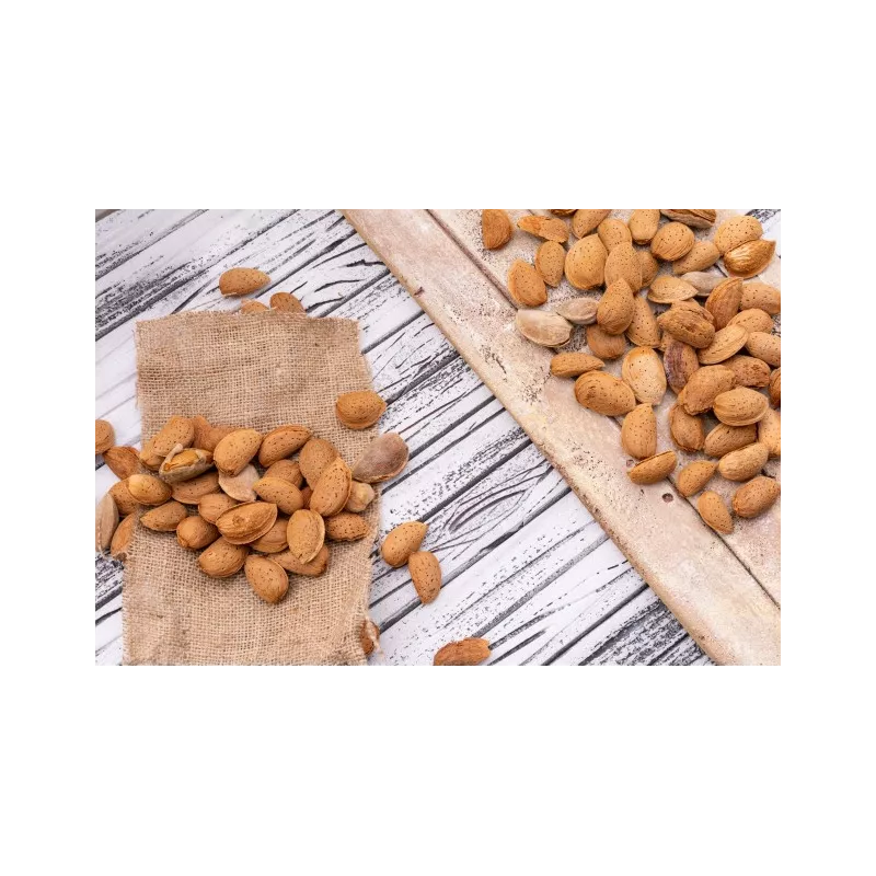Amandes bio en coque de Provence - direct producteur