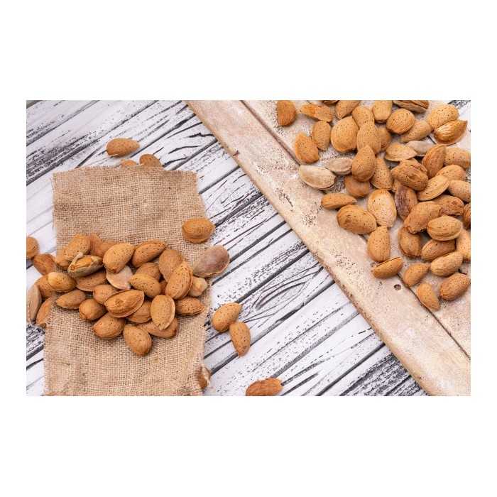 Organic almonds in shell from Provence - direct producer
