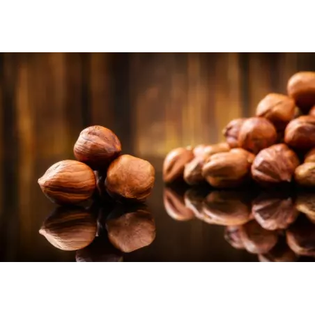Organic whole raw shelled hazelnuts from France - direct producer