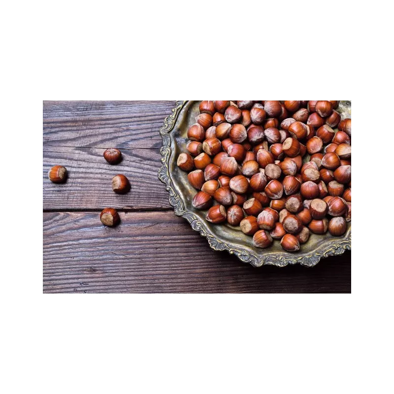 Organic hazelnuts in shell from Corsica - direct producer