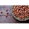 Organic hazelnuts in shell from Corsica - direct producer
