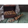 Organic hazelnuts in shell from Corsica - direct producer