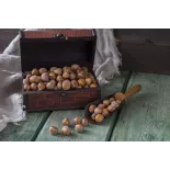 Organic hazelnuts in shell from Corsica - direct producer