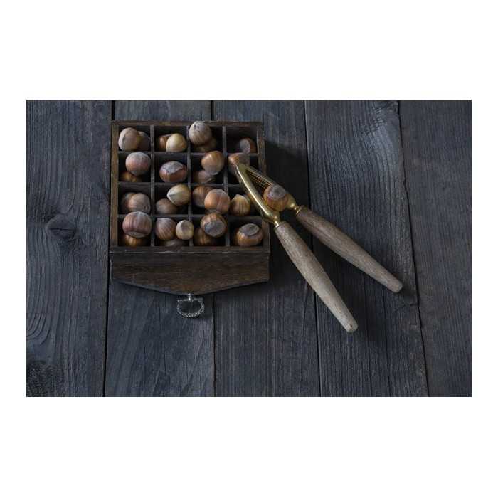 Organic hazelnuts in shell from Corsica - direct producer