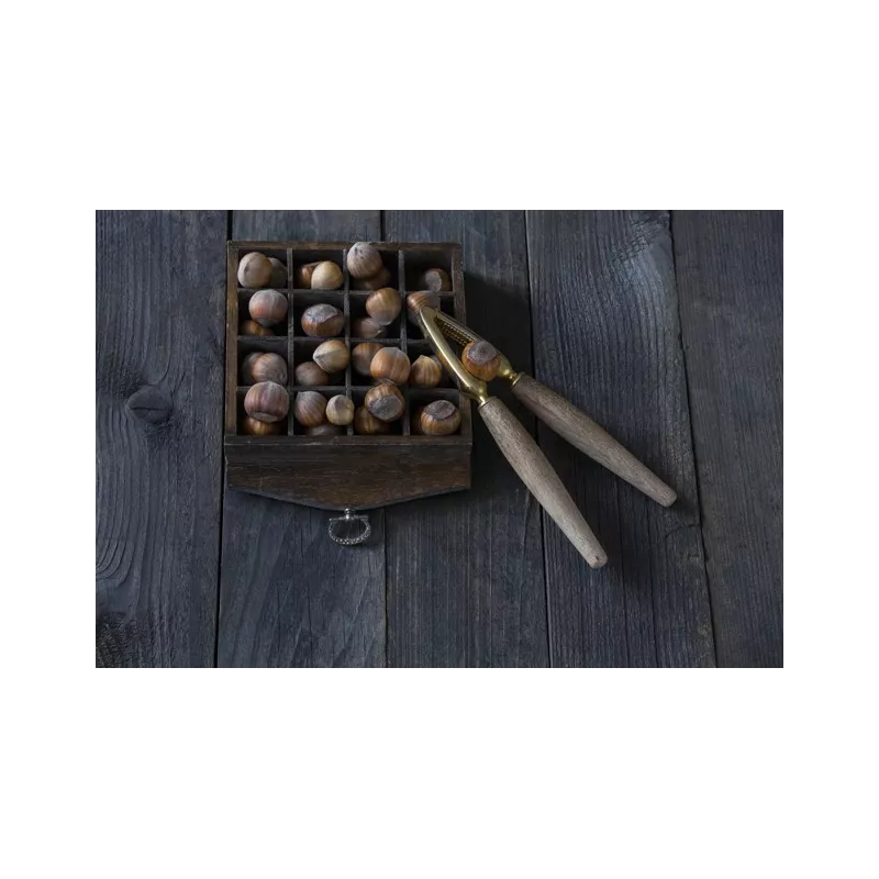 Organic hazelnuts in shell from Corsica - direct producer